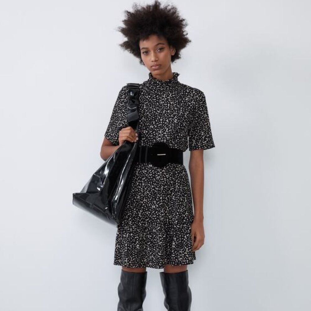 ZARA | Printed Dress
